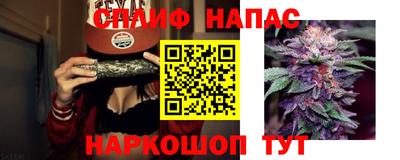 прущий лед Моздок