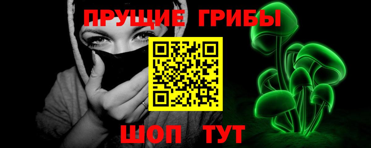 Якутск  Псилоцибиновые грибы Psilocybe  Вход с VPN 